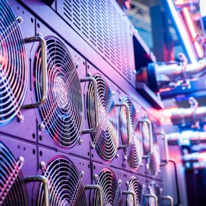 Domain + Hosting Setup