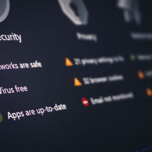 Vulnerability Assessment Report